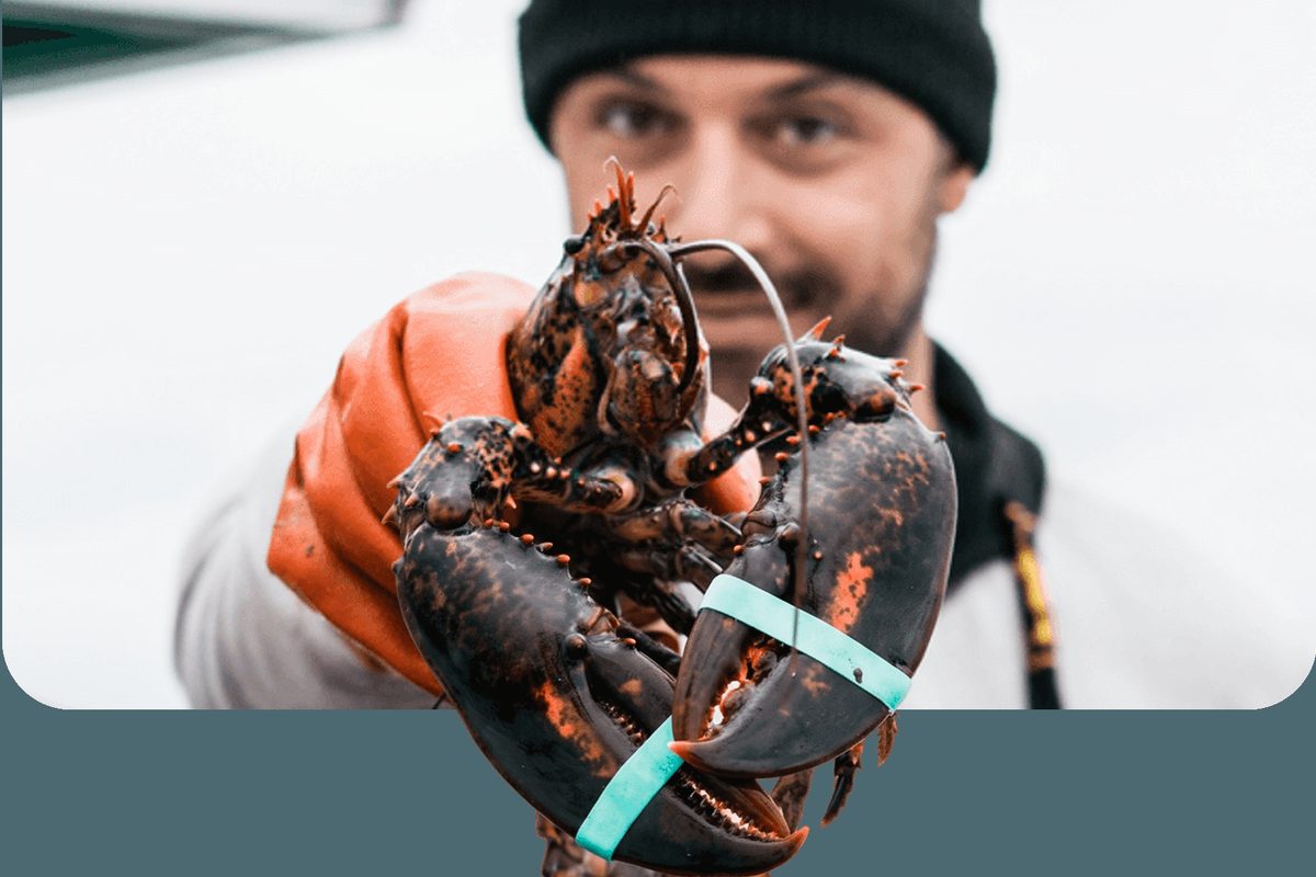 Cousins Maine Lobster
